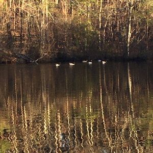 Meet your Posher, Charlize